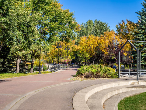 Calgary's pathway system in autumn