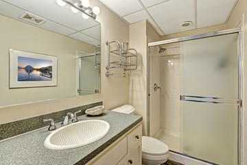 Bathroom vanity cabinet with granite top and desinged sink