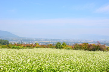 蕎麦と安曇野