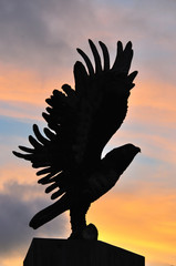 Obraz premium Silhouette hawk statue in sunset light