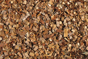 Texture of sawdust