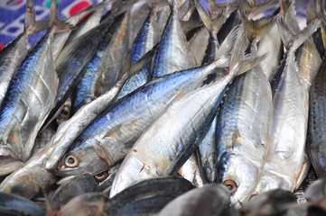Mackerel dry