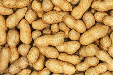 Dry roasted peanuts.