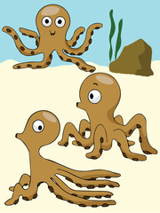Vector octopus under the sea