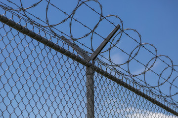 Barbed Wire Fencing