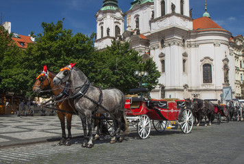 Naklejka na ściany i meble Horse-drawn carriage ready for tourists. (Prague, Czech Republic