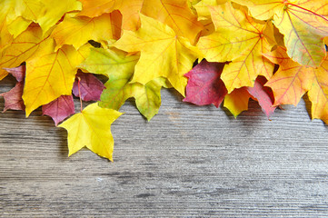 Autumn leaves over old wooden background. With copy space
