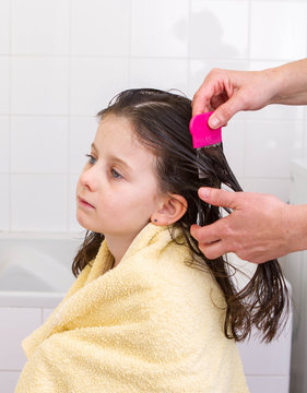 peigne &agrave; poux