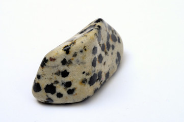 Dalmatian jasper stone
