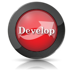 Develop icon