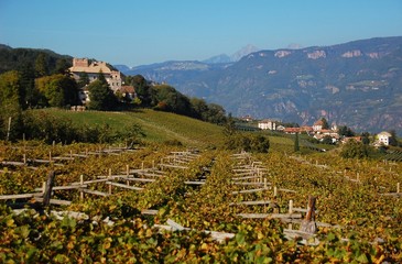 Castel Ganda fra i vigneti