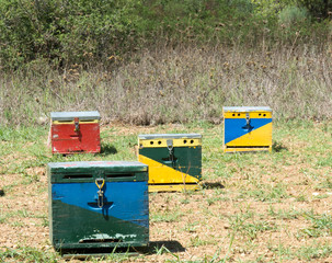 Four Bee Hives