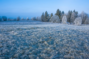 winter