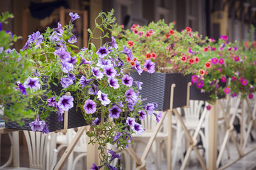street flower decoration