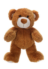 Sweet teddy bear on a white background