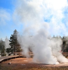 Hot Springs, Yellowstone