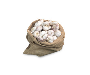 Garlic in sacks