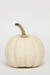 Albino Pumpkin