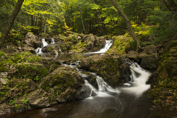 Obraz premium Overlook Falls