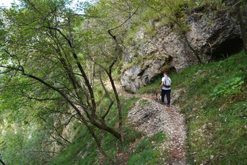 Fototapeta premium Sentiero