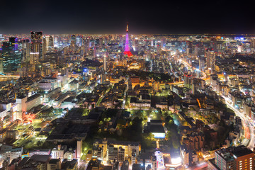 Tokyo city view visible on the horizon