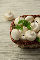 Champignon mushrooms