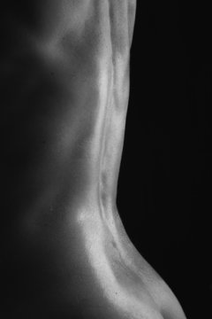 Body scape of a nude woman with tuned muscle back on artistic co