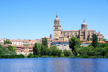 Fototapeta na wymiar cathedral of Salamanca and Tormes river