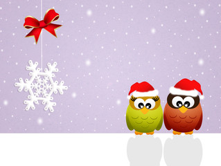 Christmas postcard