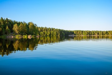 Forest reflecting in lake