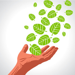 Green leaves hand . Eco Friendly Vector illustration.