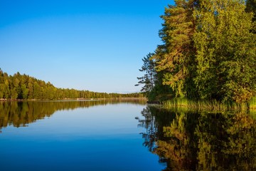 Fototapeta premium Forest reflecting in lake