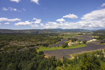 Fototapeta na wymiar Blick über die Provence, Sault