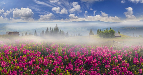 Fototapeta premium Mountain ranges of Ukraine