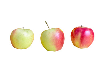 Äpfel