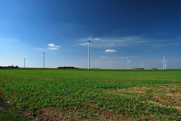 Groupe d'éoliennes dans un champ