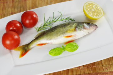 fresh fish with rosemary
