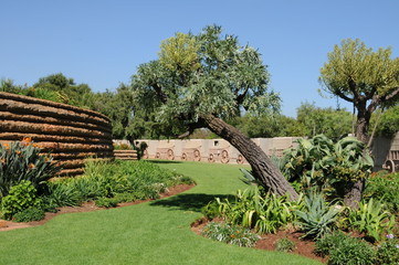 Jardin sud-africains