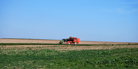 Fototapeta premium Tracteur et Moisson