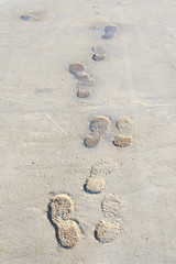 footprint