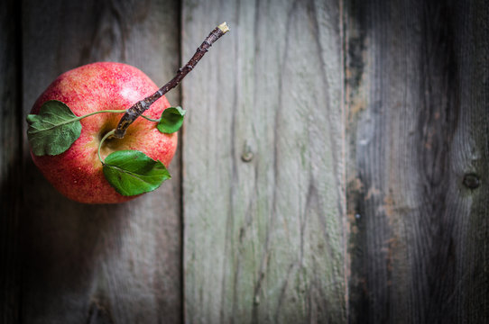 Farm raised apples on wooden background