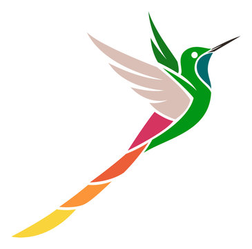 Hummingbird - Red-tailed Comet