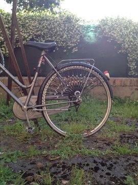 Bicicletta