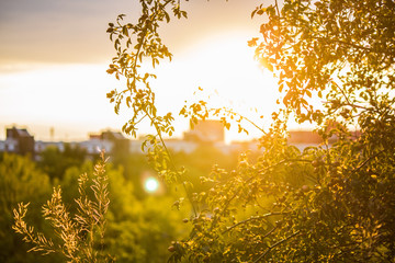 Mauerpark in Berlin am Abend