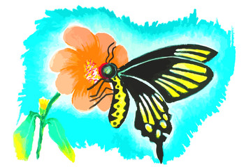 colorful butterfly with flower painting background