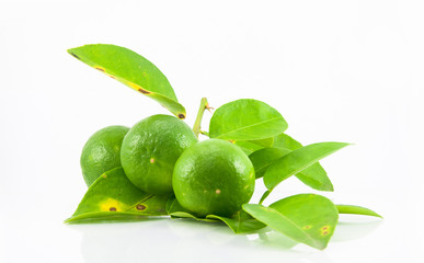Group of fresh ripe lime with leaves.