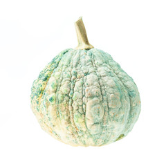 Green pumpkin on a white background.