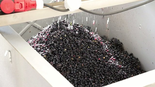 raisins &eacute;rafl&eacute;s