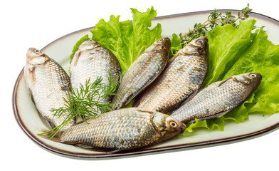 Crucian fish