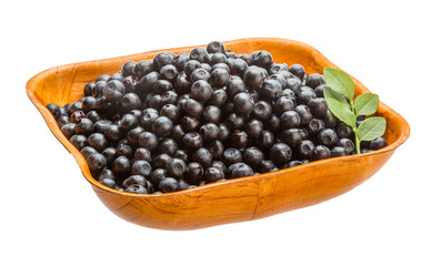 Blueberry